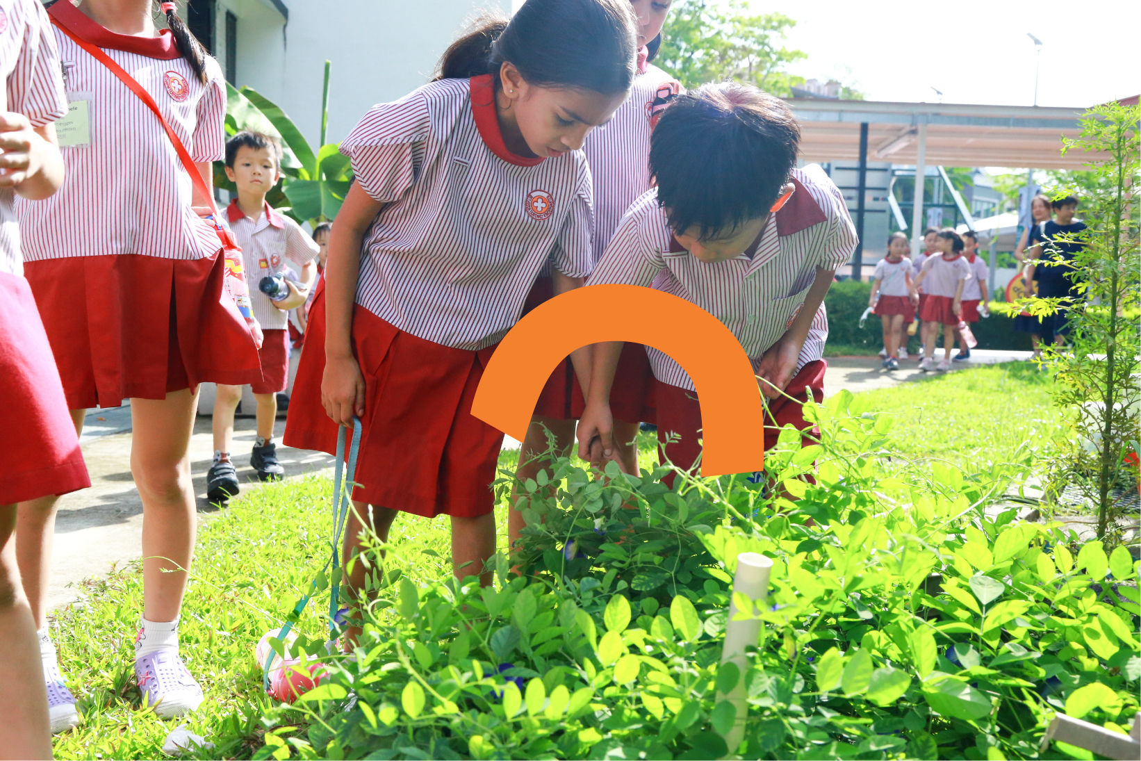 Children at a farm